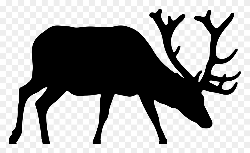 2296x1344 Elk Silhouette Icons Png - Elk PNG