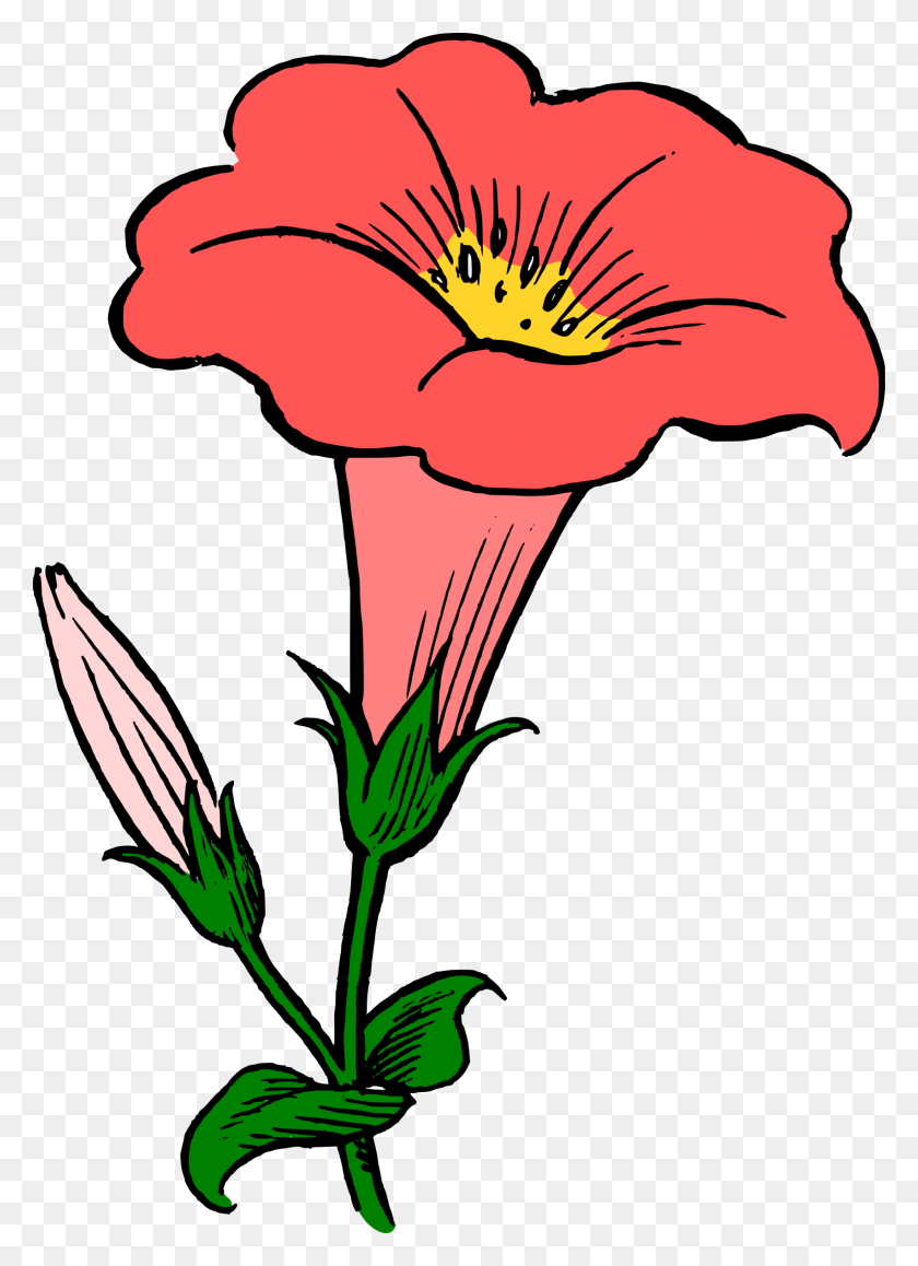 1704x2400 Elower Clipart Colored - Colorful Flower Clipart