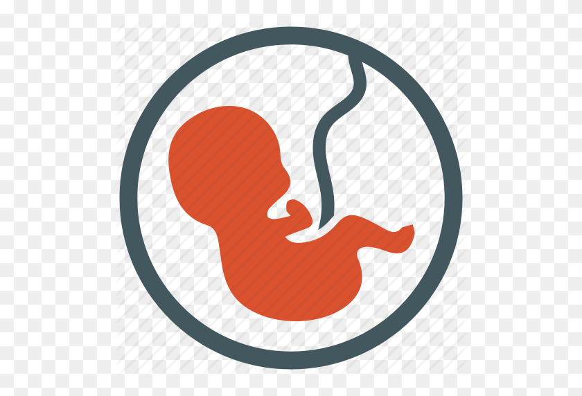 512x512 Эмбрион, Плод, Новорожденный, Акушерство, Значок Беременности - Плод Png