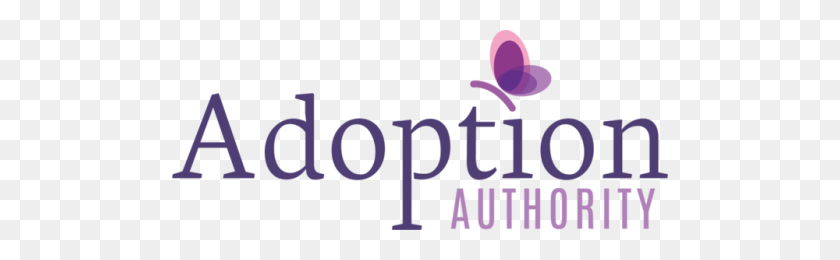 1000x257 Emily And Bob Adopt Adoption Authority - Disney Castle PNG