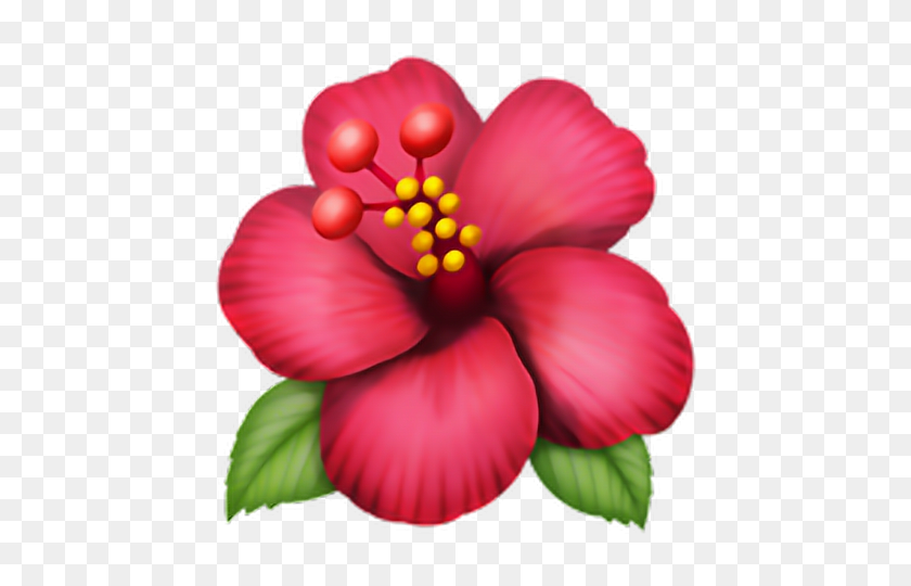 480x480 Emoji Fleur Fleur Flora Rose Pink Apple Iphone - Rose Emoji PNG