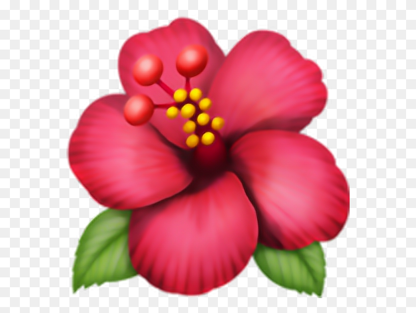 572x572 Emoji Flor Png Pngtumblr Pngs Adesivo Flower - Flor Emoji Png