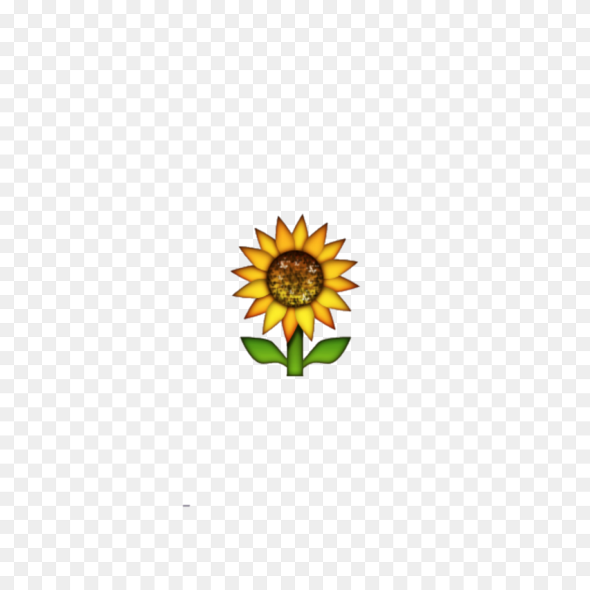 1024x1024 Emoji Подсолнечник - Подсолнух Emoji Png