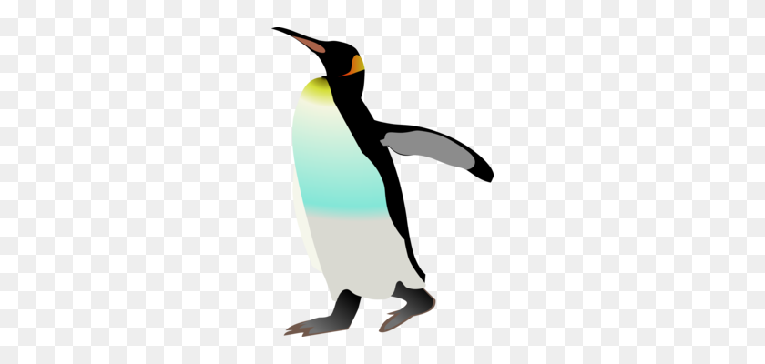 244x340 Императорский Пингвин Птица Антарктида Gentoo Penguin - Антарктида Клипарт