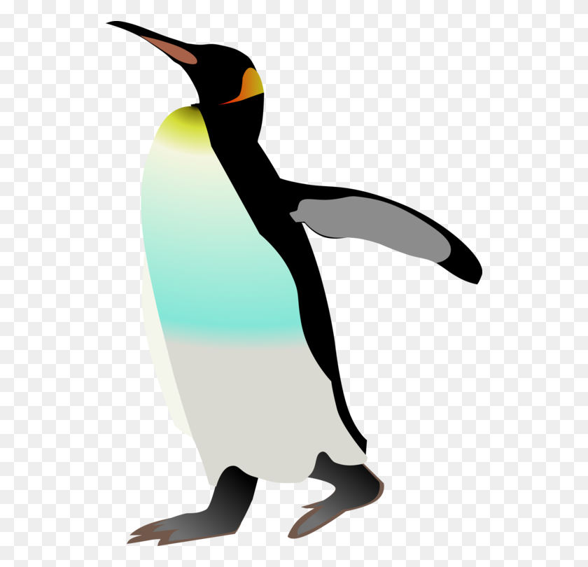 538x750 Императорский Пингвин Птица Gentoo Penguin Антарктида - Императорский Пингвин Клипарт