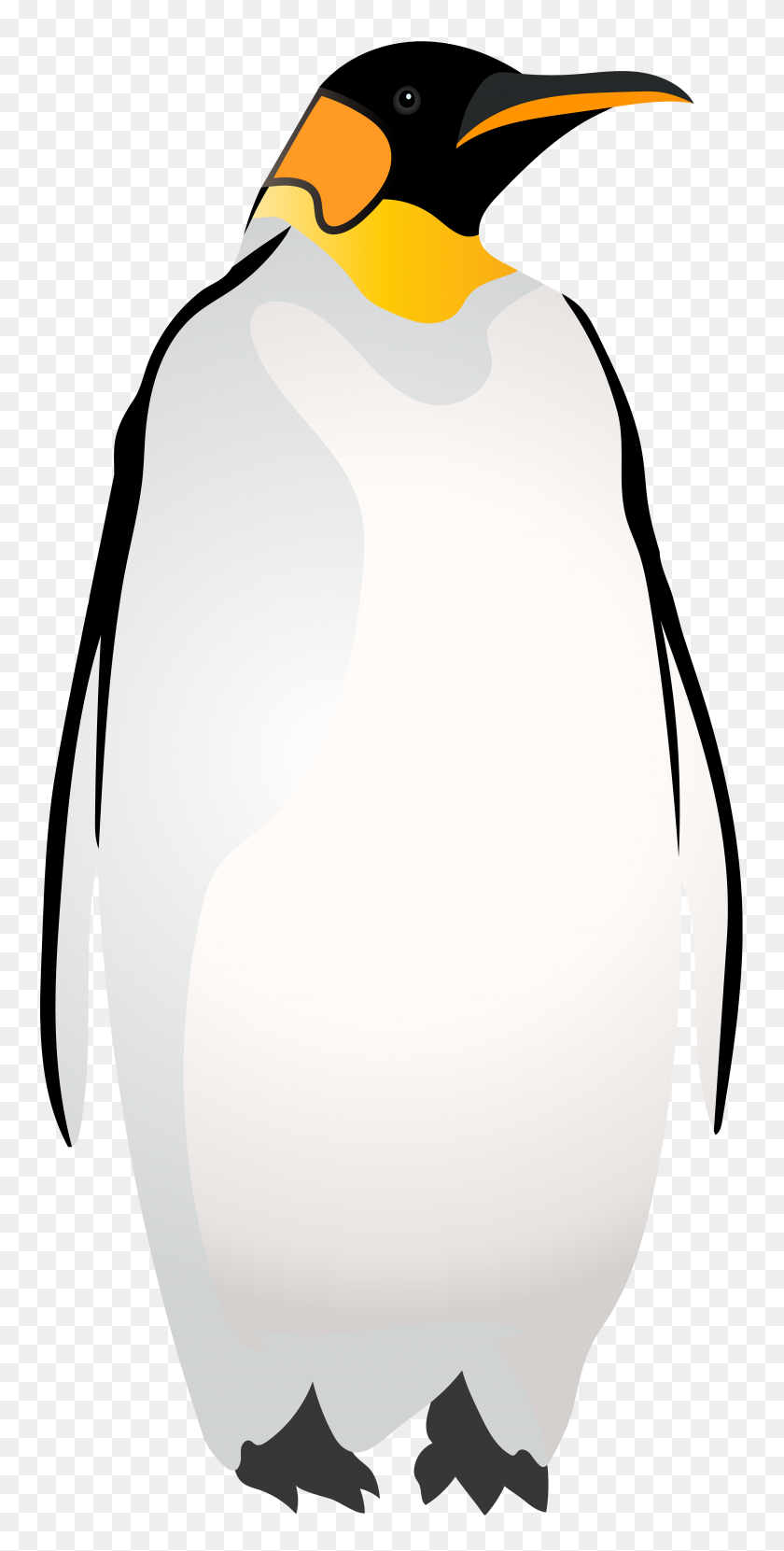 3897x8000 Императорский Пингвин Png Клип - Императорский Пингвин Клипарт