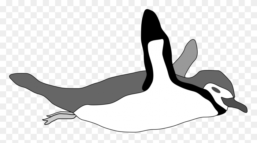 1424x750 Императорский Пингвин Плавательный Рисунок Компьютерные Иконки - Человек Плавательный Клипарт