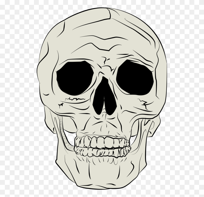 537x750 Encapsulated Postscript Skull Computer Icons Face Autocad Dxf Free - Skull Face PNG