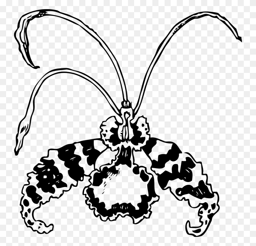 748x750 Encyclia Dibujo De Plantas Con Flores De Plantas De Orquídeas Mantis Gratis - Unc Clipart