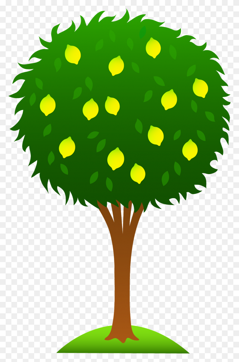 1030x1600 English Language Resources Sitting On A Lemon Tree Song For Kids - Tree From Above PNG