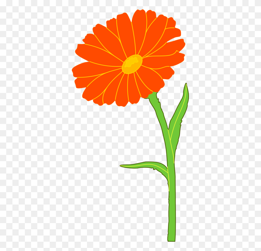 377x750 English Marigold Mexican Marigold Annual Plant Flower Southern - Mexican Flowers Clipart