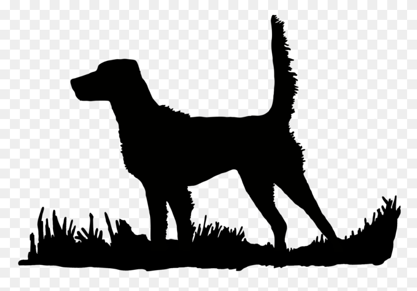 1024x692 English Setter - Hunting Dog Clipart