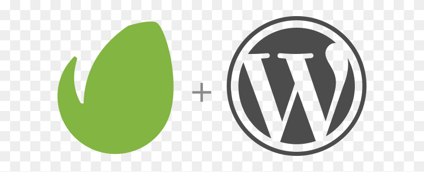 616x281 Envato Market Wordpress Plugin - Wordpress Logo PNG