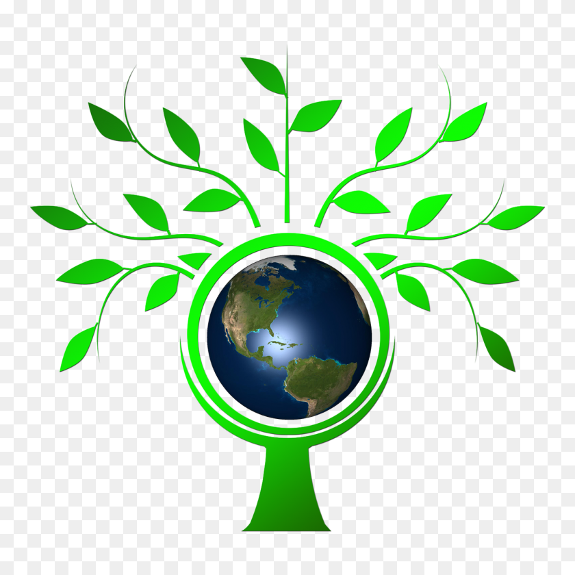 1280x1280 Environment Clipart Healthy Plant - Happy Earth Clipart
