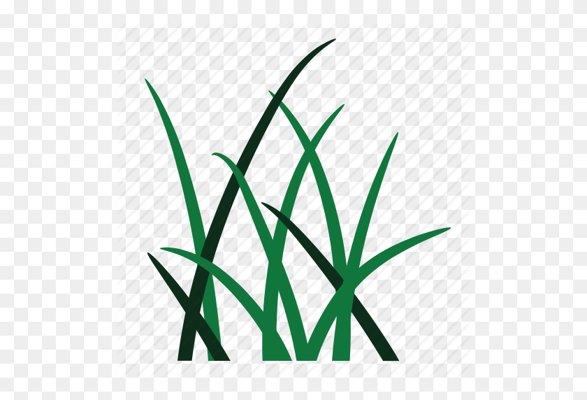 512x512 Environment, Garden, Grass, Green, Nature, Weed, Weeds Icon - Weeds PNG