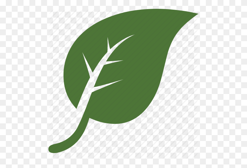 512x512 Environnement, Garden, Green, Leaf, Leaves, Nature, Tree Icon - Leaf Icon PNG