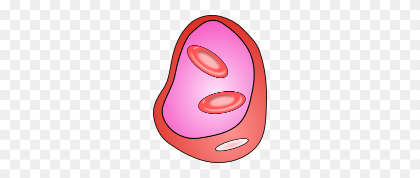 228x297 Erythrocyte Red Blood Cell Png, Clip Art For Web - Blood PNG