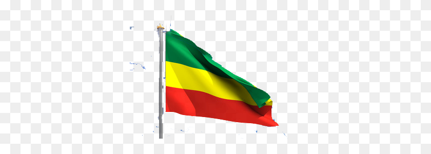 333x240 Escfe Federación De Cultura Deportiva De Etiopía En Europa - Bandera Americana Png Transparente