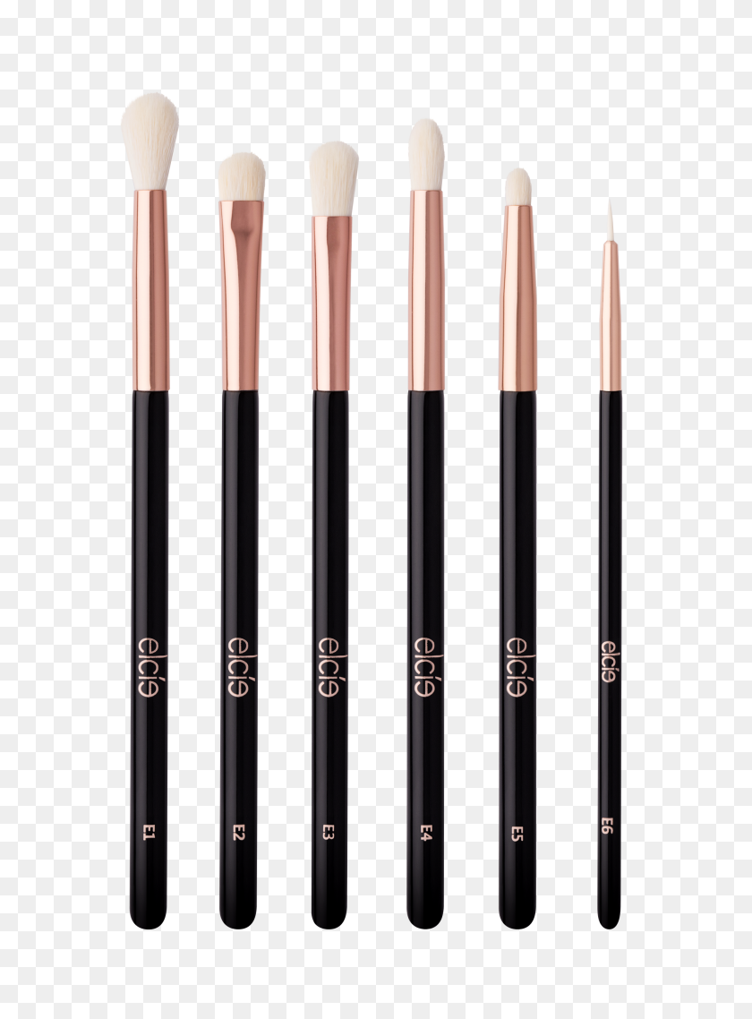 1972x2727 Essential Eye Brush Collection - Makeup Brush PNG