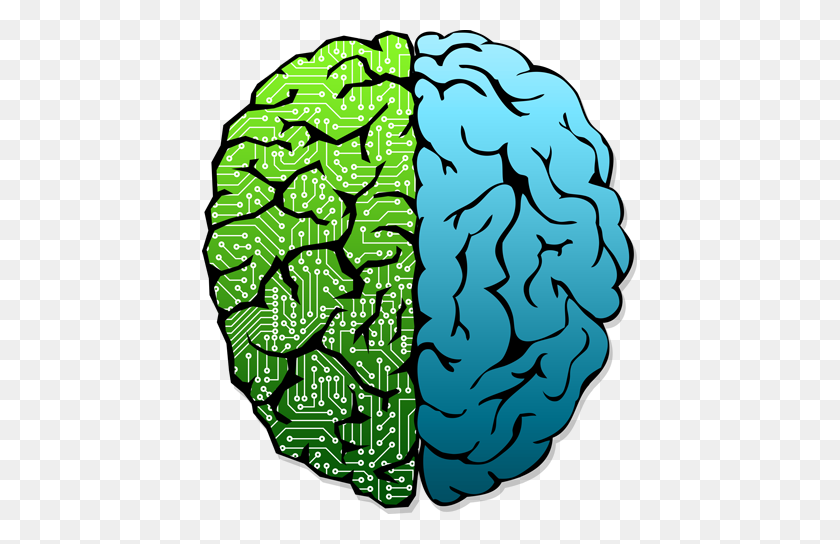 435x484 Consideraciones Éticas En Electrofisiología Intracraneal Humana - Cerebro Humano Png