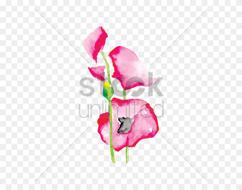 600x600 Молочай Цветок Векторное Изображение - Цветочная Акварель Png