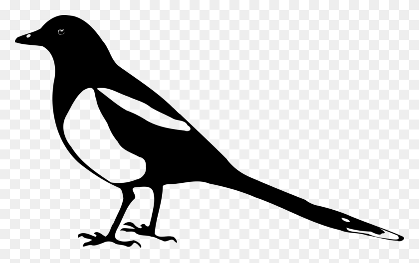 1248x750 Eurasian Magpie Bird Silhouette Crow - Crow Clipart