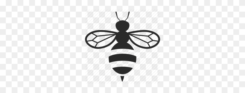 260x260 Европейская Темная Пчела - Черно-Белый Клипарт Медоносная Пчела