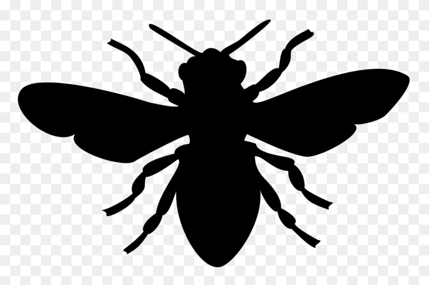 1173x750 Европейская Темная Пчела, Медоносная Пчела, Силуэт Шмеля - Шмель Клипарт Черный И Белый