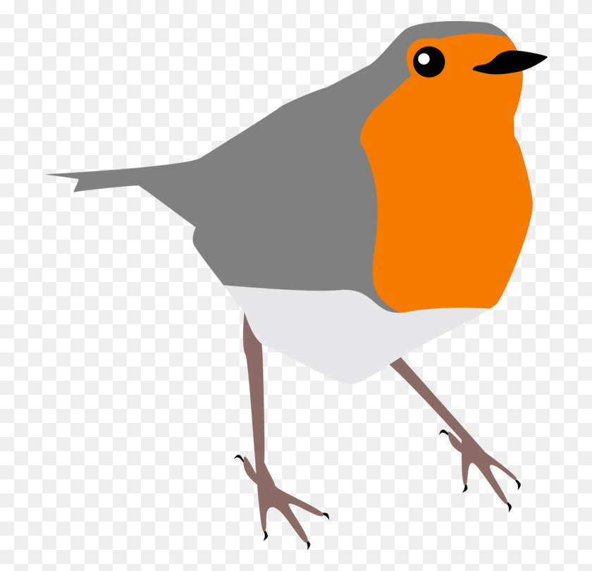 714x750 European Robin Drawing Istock Common Nightingale Bird Free - Robin Clipart