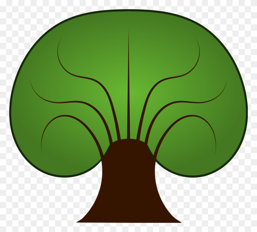 800x716 Вечнозеленые Картинки - Вечнозеленое Дерево Клипарт