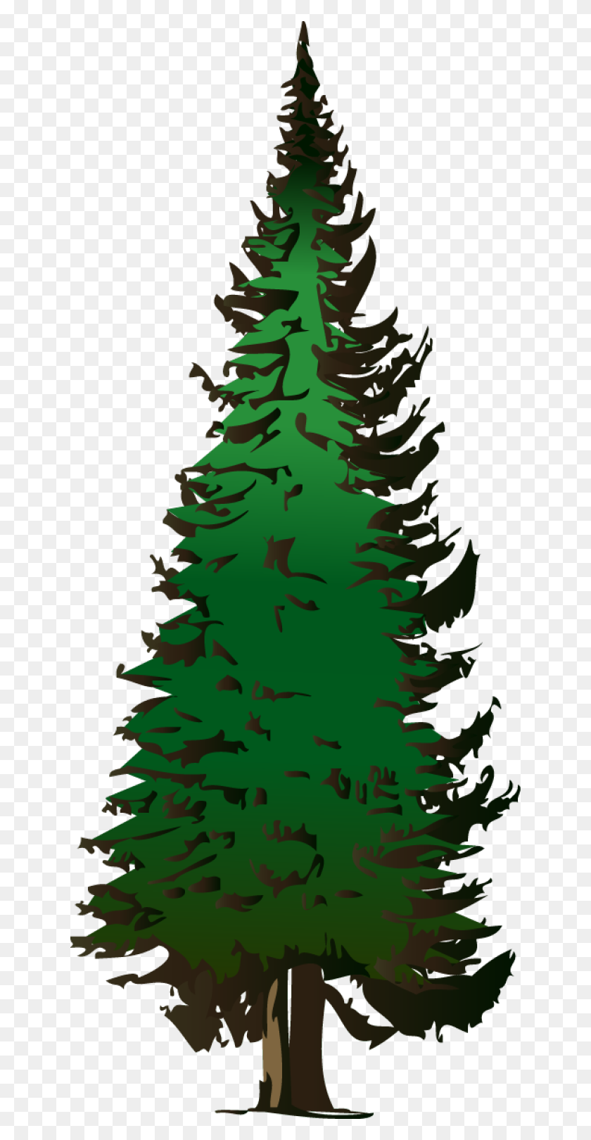 640x1560 Evergreen Clipart - Big Tree Clipart