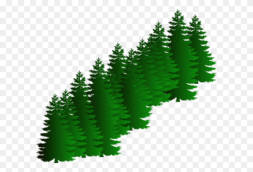 600x513 Evergreen Clipart Free Clip Art Images - Pine Tree Branch PNG