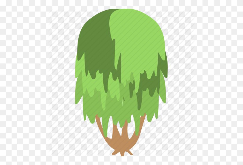 512x512 Evergreen, Foliage, Greenery, Nature, Weeping Willow Icon - Willow Tree PNG