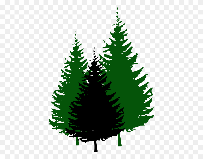 438x599 Evergreen Pine Tree Clip Art - Family Tree Clipart