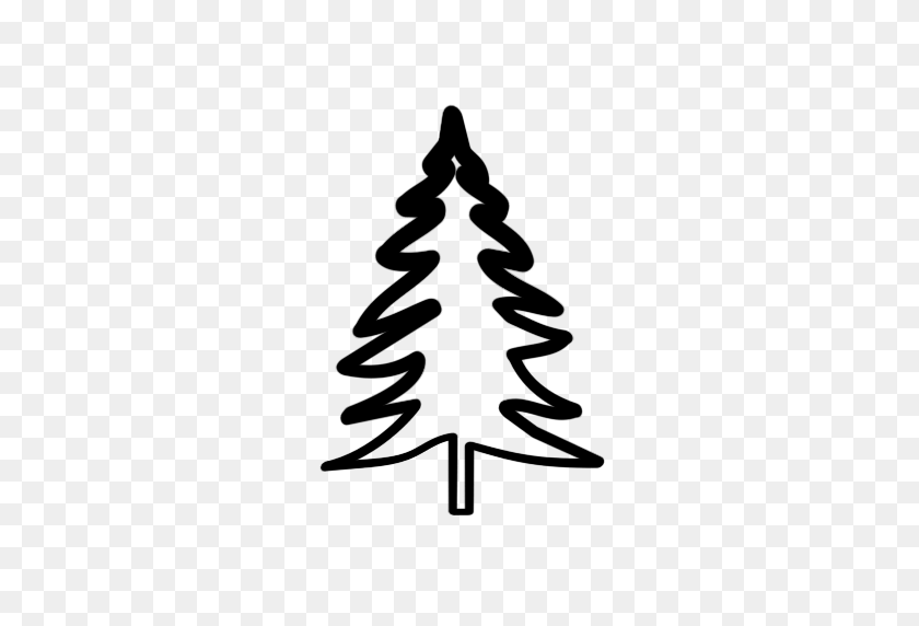 512x512 Evergreen Tree Outline Gallery Images - Redwood Tree Clip Art