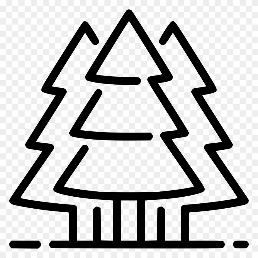 980x982 Evergreen Trees Png Icon Free Download - Evergreen Tree PNG