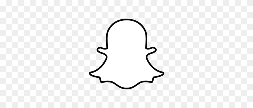 300x300 Todos Los Logotipos De Redes Sociales Que Desee - Corona De Flores De Snapchat Png