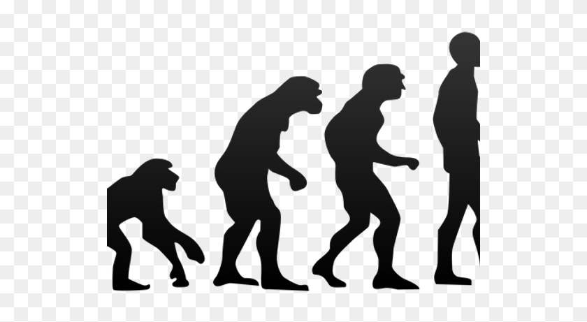 534x401 Ученые Говорят, Что Уроки Эволюции Подвергаются Саботажу В Аризоне - Evolution Png