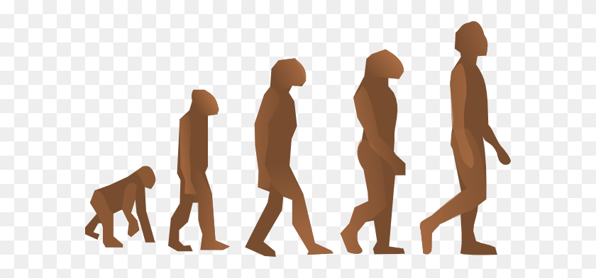 600x333 Evolution Steps Clip Art Is - Step By Step Clipart