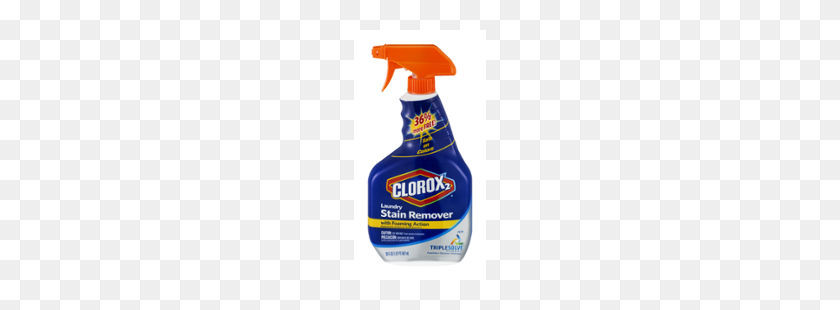 250x250 Ewg's Guide To Healthy Cleaning Clorox Cleaner Ratings - Clorox PNG