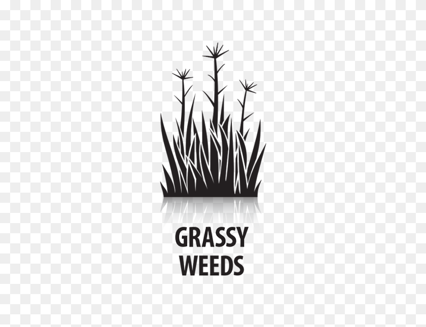 585x585 Excellent Control Of Grassy And Broadleaf Weeds - Weeds PNG