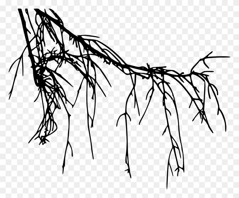 1200x979 Excellent Heart Root Tree Roots Breastfeeding Roots Black - Tree With Roots PNG