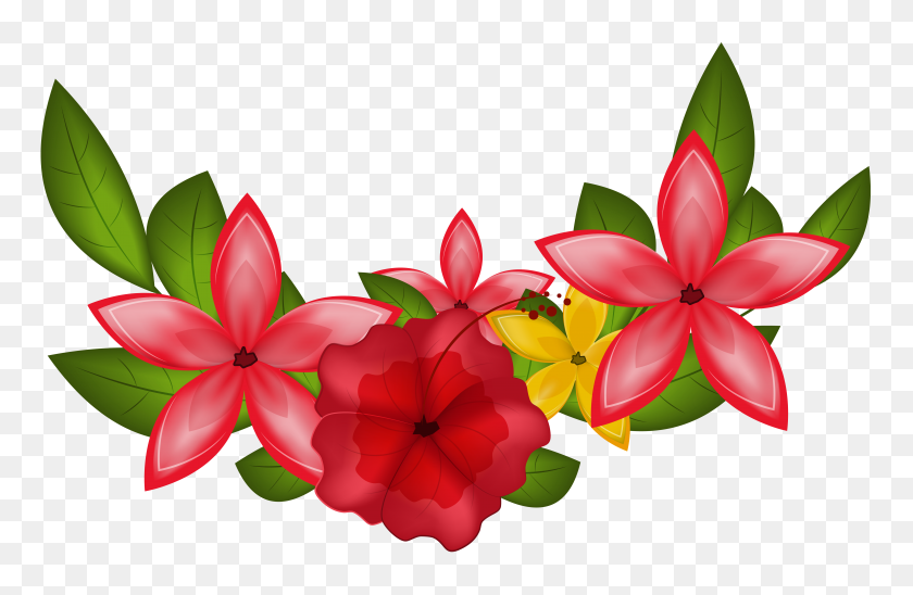 6221x3898 Exotic Floral Decoration Png Clipart - Flower Clipart PNG