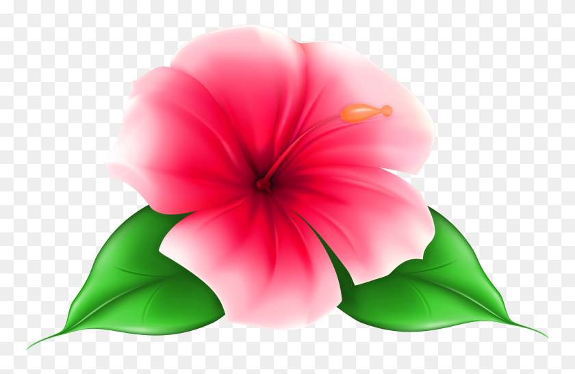 7000x4371 Exotic Flower Png Clip Art - Tropical Flower Clipart
