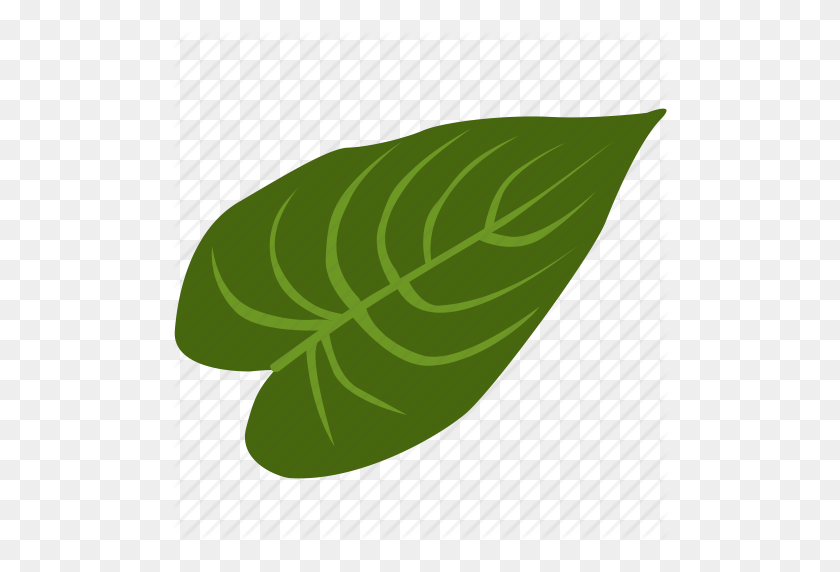 498x512 Exotic, Herb, Leave, Plant, Tropical Icon - Tropical Plant PNG