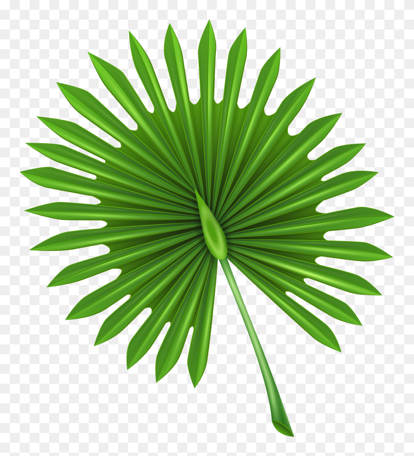 4496x5000 Exotic Leaf Clip Art Png - Palm Tree Leaves PNG
