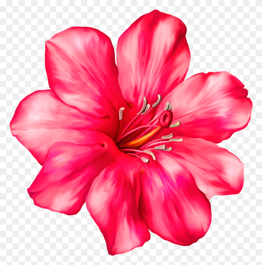 1358x1376 Exotic Pink Flower Png Clipart Picture - Tropical Clipart