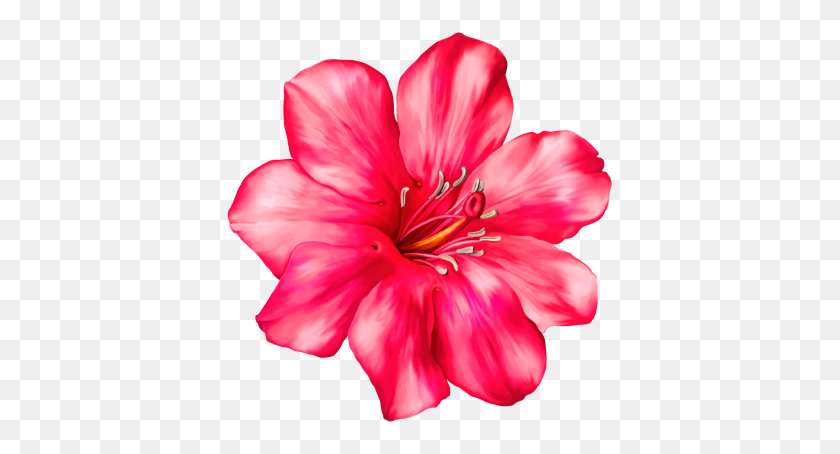 400x394 Экзотический Розовый Цветок Png Клипарт Картинка Вектор, Клипарт - Цветок Лилии Png