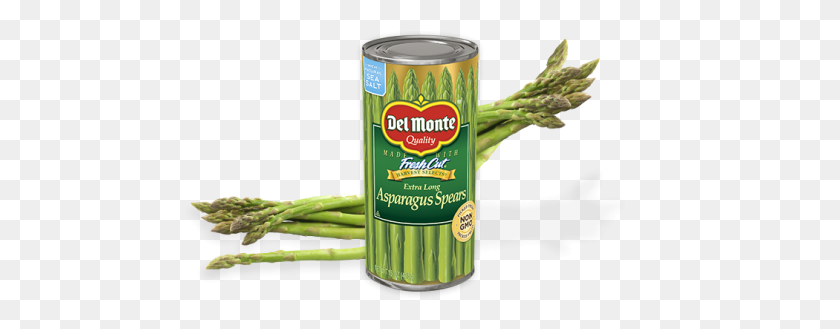 1050x363 Extra Long Asparagus Spears Del Monte Foods, Inc - Asparagus PNG