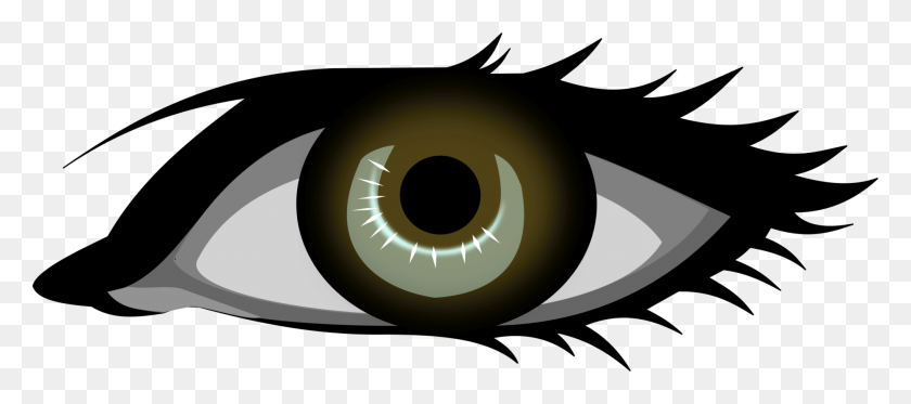 1867x750 Eye Color Iris Blue Human Eye - Free Clip Art Eyes